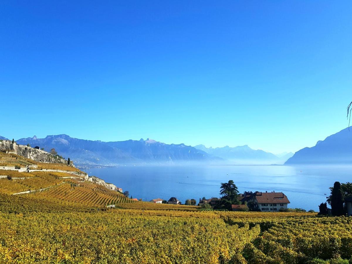 Montreux Holiday Home 외부 사진